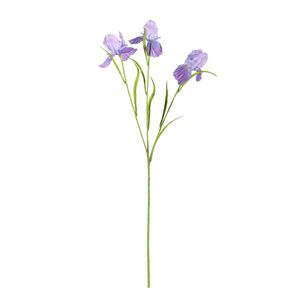 Iris Spray Purple 60cm