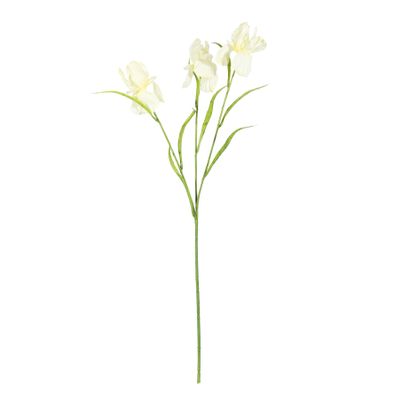 Iris Spray Yellow 60cm
