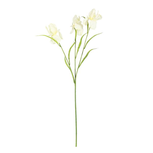 Iris Spray Yellow 60cm