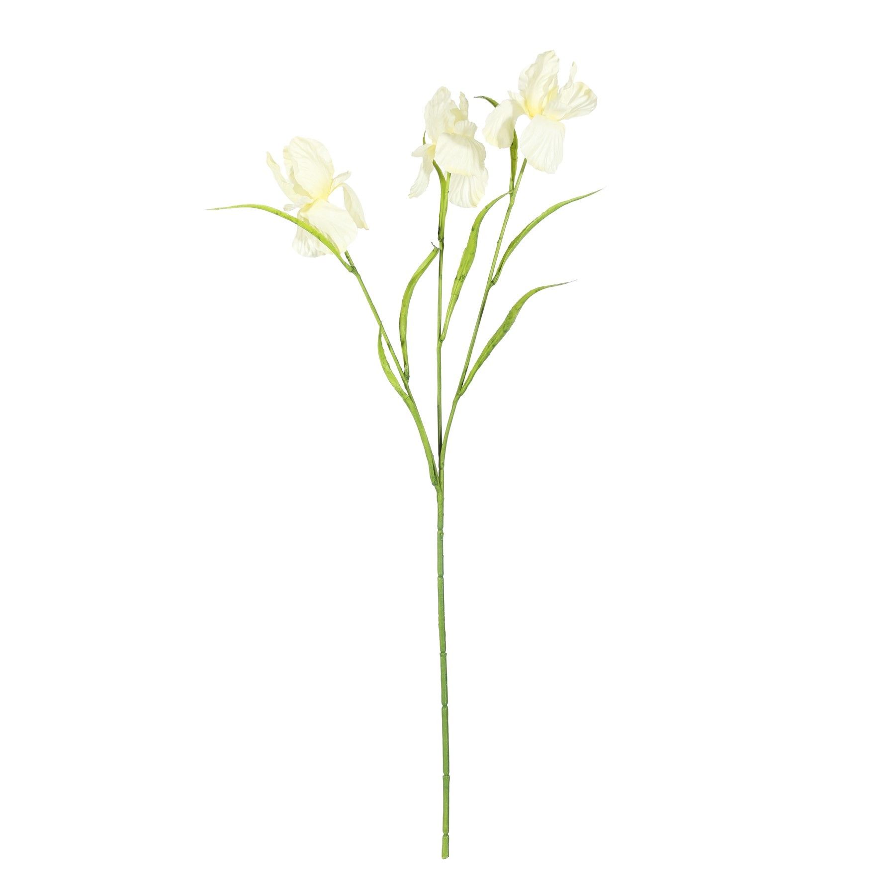 Iris Spray Yellow 60cm