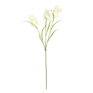 Iris Spray Yellow 60cm