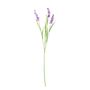 Lavender Spray - 65cm