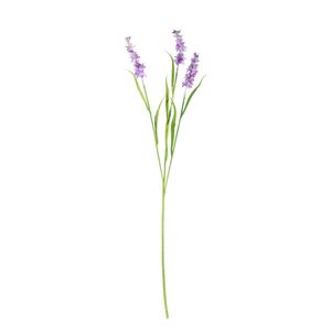 Lavender Spray - 65cm