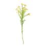 Waxflower Flower Yellow 68cm