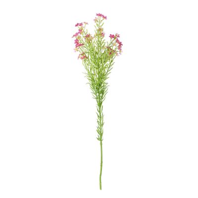Waxflower Flower Dark Pink 68cm
