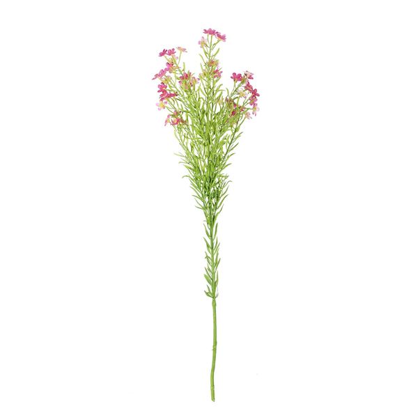 Waxflower Flower Dark Pink 68cm