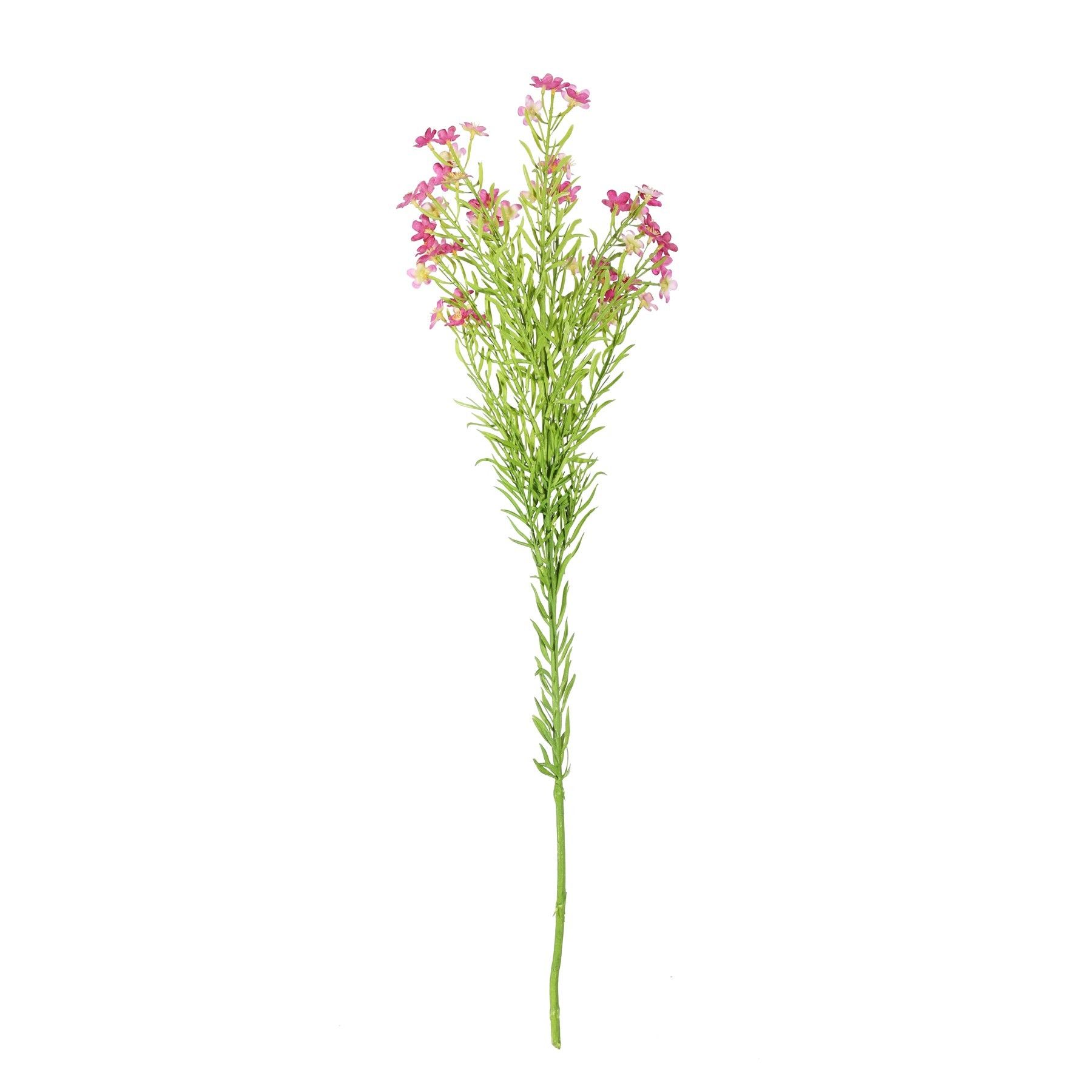 Waxflower Flower Dark Pink 68cm