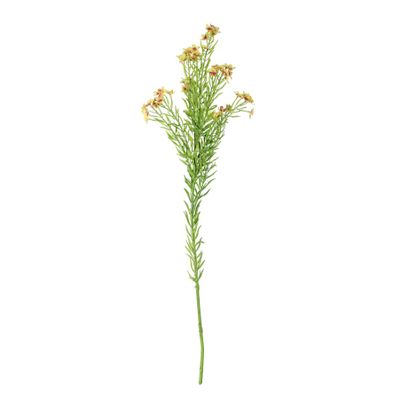 Waxflower Flower Green 68cm
