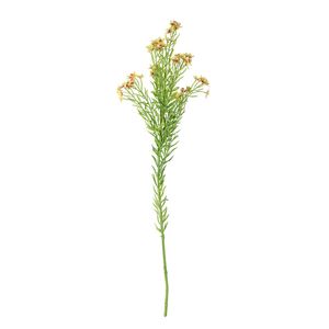 Waxflower Flower Green 68cm