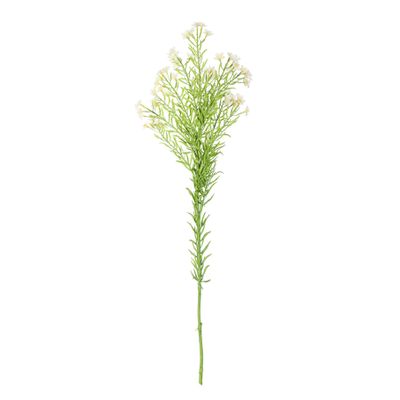 Waxflower Flower Cream 68cm