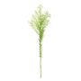 Waxflower Flower Cream 68cm