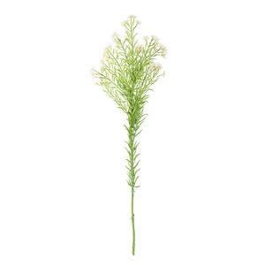 Waxflower Flower Cream 68cm
