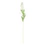 Stock Flower Cream 80cm