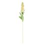 Stock Flower Peach 80cm