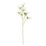 Mini Peach Blossom Cream 87cm