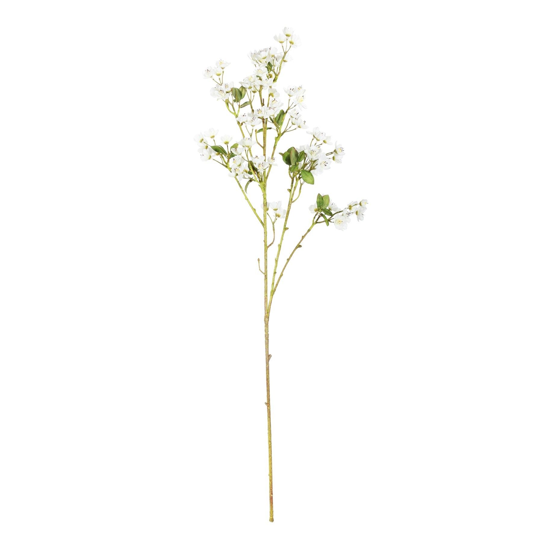 Mini Peach Blossom Cream 87cm