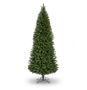 7ft Dolomite Pine PE Slim 1063T