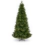 8.5ft Banff Pine Tree 1688T