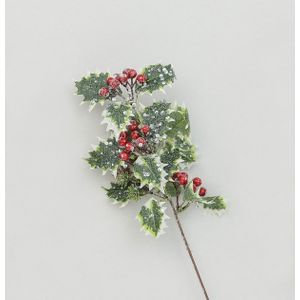 42cm Frosted Holly/Berry Variegate