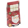 Oil Burner & Melts Santa
