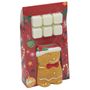 Oil Burner & Melts 