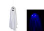 Floating Ghost Light & Sound   Hang Tag                      