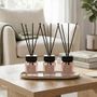 50Ml Diffuser Coco Set 3