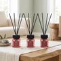 50Ml Diffuser Rouge  Set 3