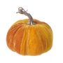 ORANGE VELVET PUMPKIN