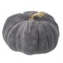 DARK GREY VELVET PUMPKIN WITH GOLD STALK