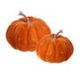 VELVET PUMPKIN SET 20CM AND 16CM