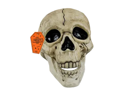 Halloween Skull Decoration with Black Line Detail