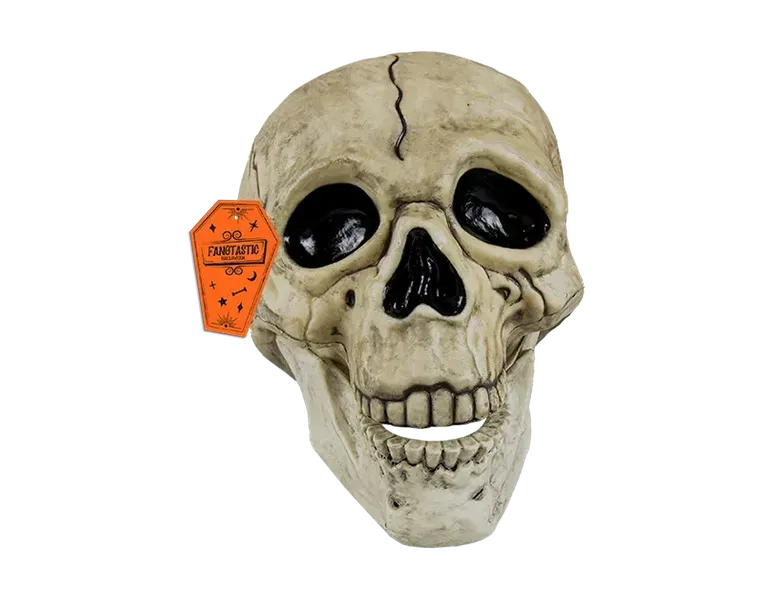 Halloween Skull Decoration with Black Line Detail