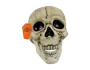 Halloween Skull Decoration with Black Line Detail