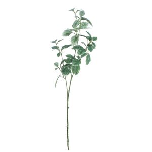 Euonymus Leaves Spray Dark Green (91cm)