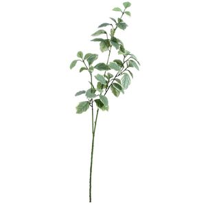 Euonymus Leaves Spray Light Green (91cm)