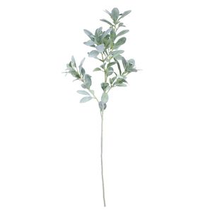 Extra Large Display Lambs Ear (112cm)