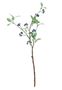 Lingonberry Spray w/9 Cluster Berries Navy (63cm)