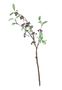 Lingonberry Spray w/9 Cluster Berries Burgundy (63cm)