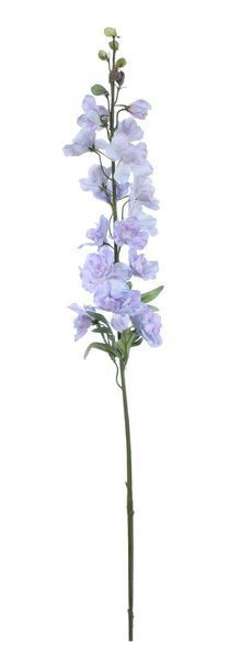 Real Garden Delphinium Spray Lavender (91cm)