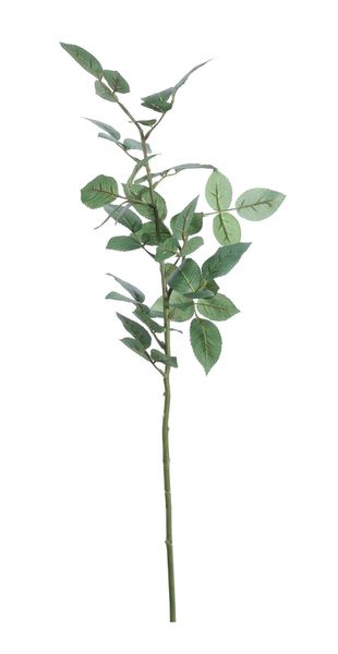 Rose Leaf Spray (84cm)