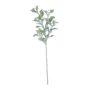 Extra Large Display Dusty Miller (108cm)