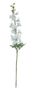 Real Garden Delphinium Spray White (91cm)