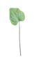 Large Hostas Leaf Green (56cm)