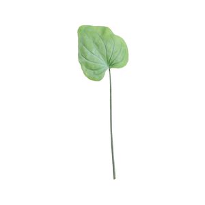 Large Hostas Leaf Green (56cm)