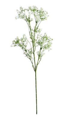 Baby Breath Spray Green (74cm)