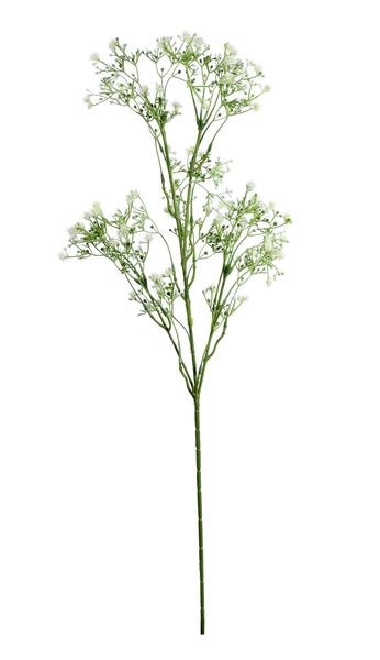 Baby Breath Spray Green (74cm)