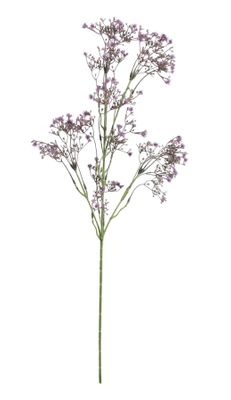 Baby Breath Spray Purple (74cm)