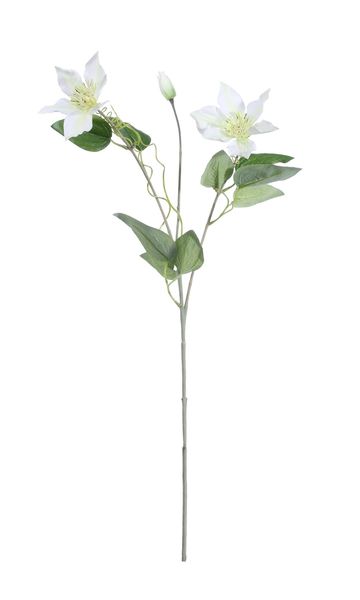 Real Garden Clematics White (76cm)