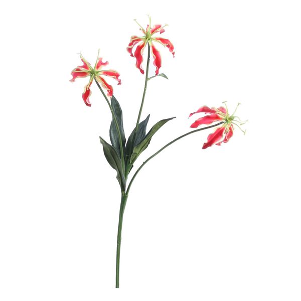 Gloriosa Spray w/3 Flowers Red (50cm)